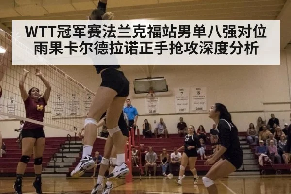 WTT冠军赛法兰克福站男单八强对位 雨果卡尔德拉诺正手抢攻深度分析